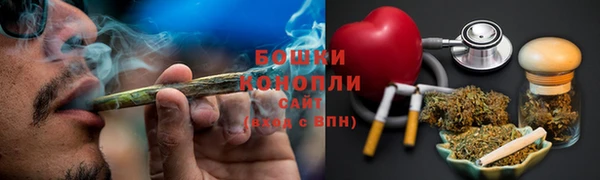 мдпв Магас