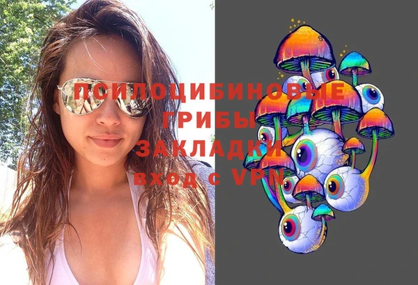 мдпв Магас