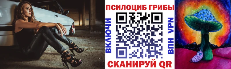blacksprut зеркало  Набережные Челны  Псилоцибиновые грибы Psilocybine cubensis 