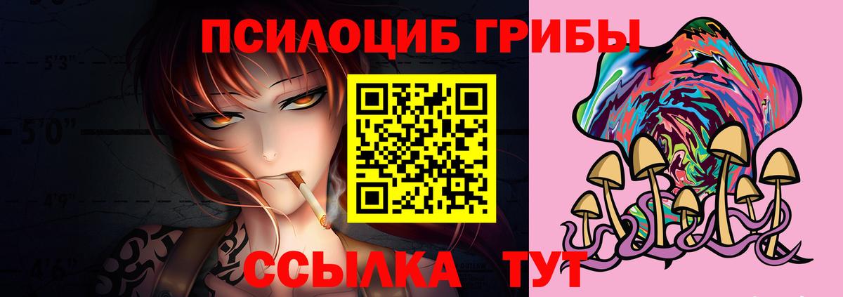 Галлюциногенные грибы Psilocybine cubensis  Вход с VPN  Набережные Челны 